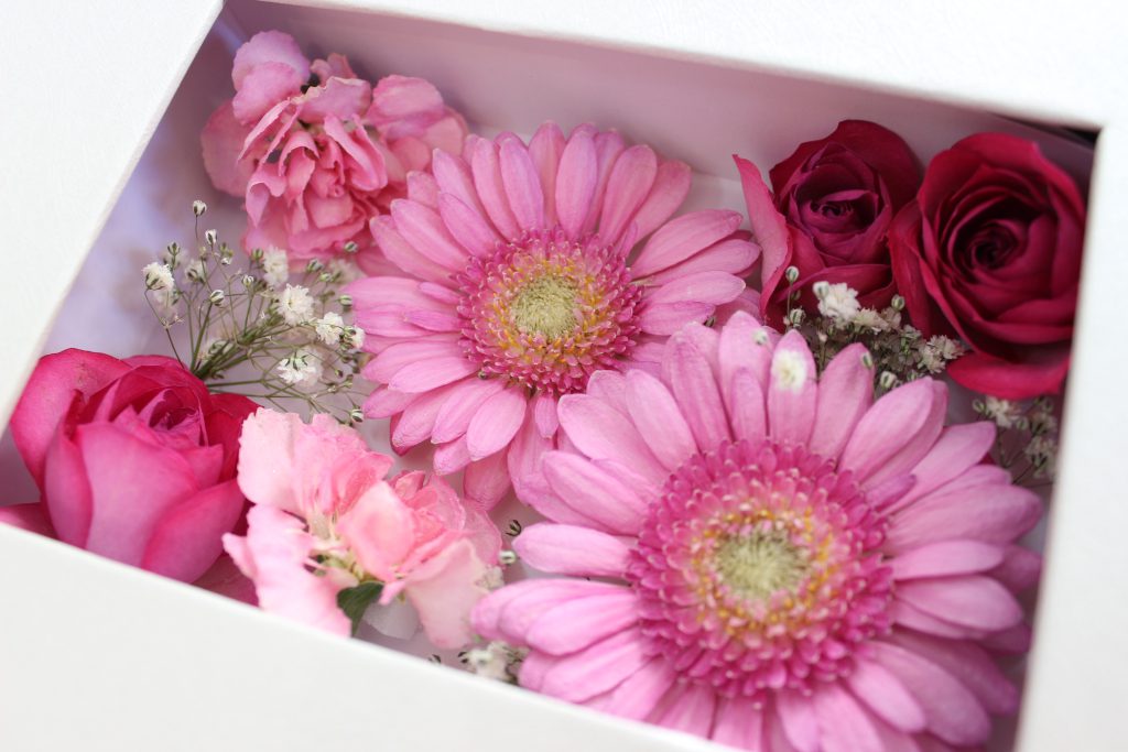 ガーベラ花言葉 ガーベラについて レカンフラワー専門 名古屋 教室 販売 お花を保存しプレゼントに最適