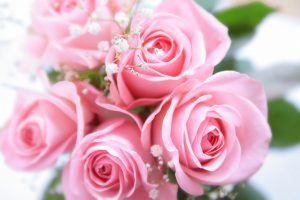 バラの花束保存　プロポーズ