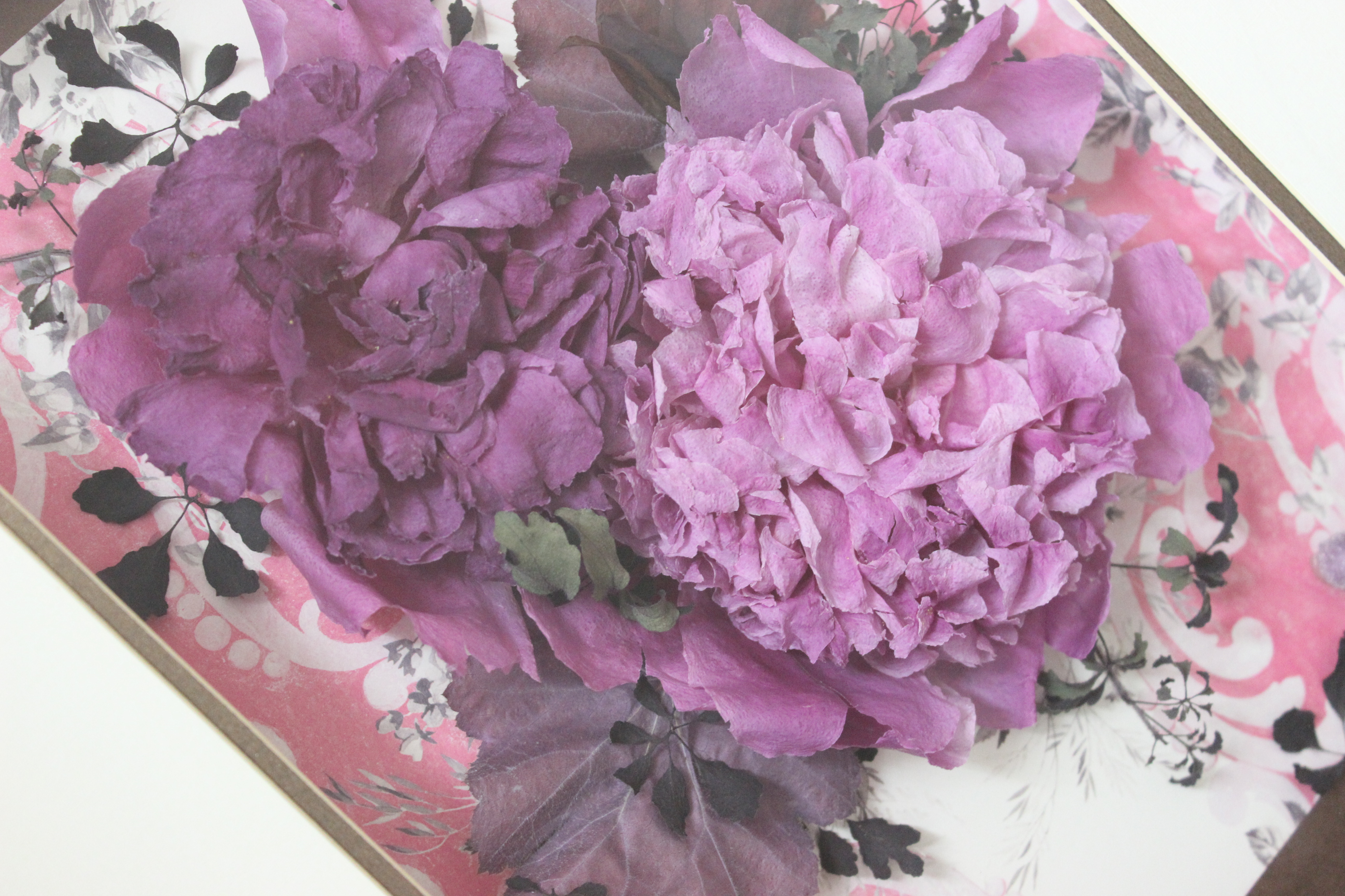 豪華でエレガントな芍薬の作品集 レカンフラワー専門 名古屋 教室 販売 お花を保存しプレゼントに最適