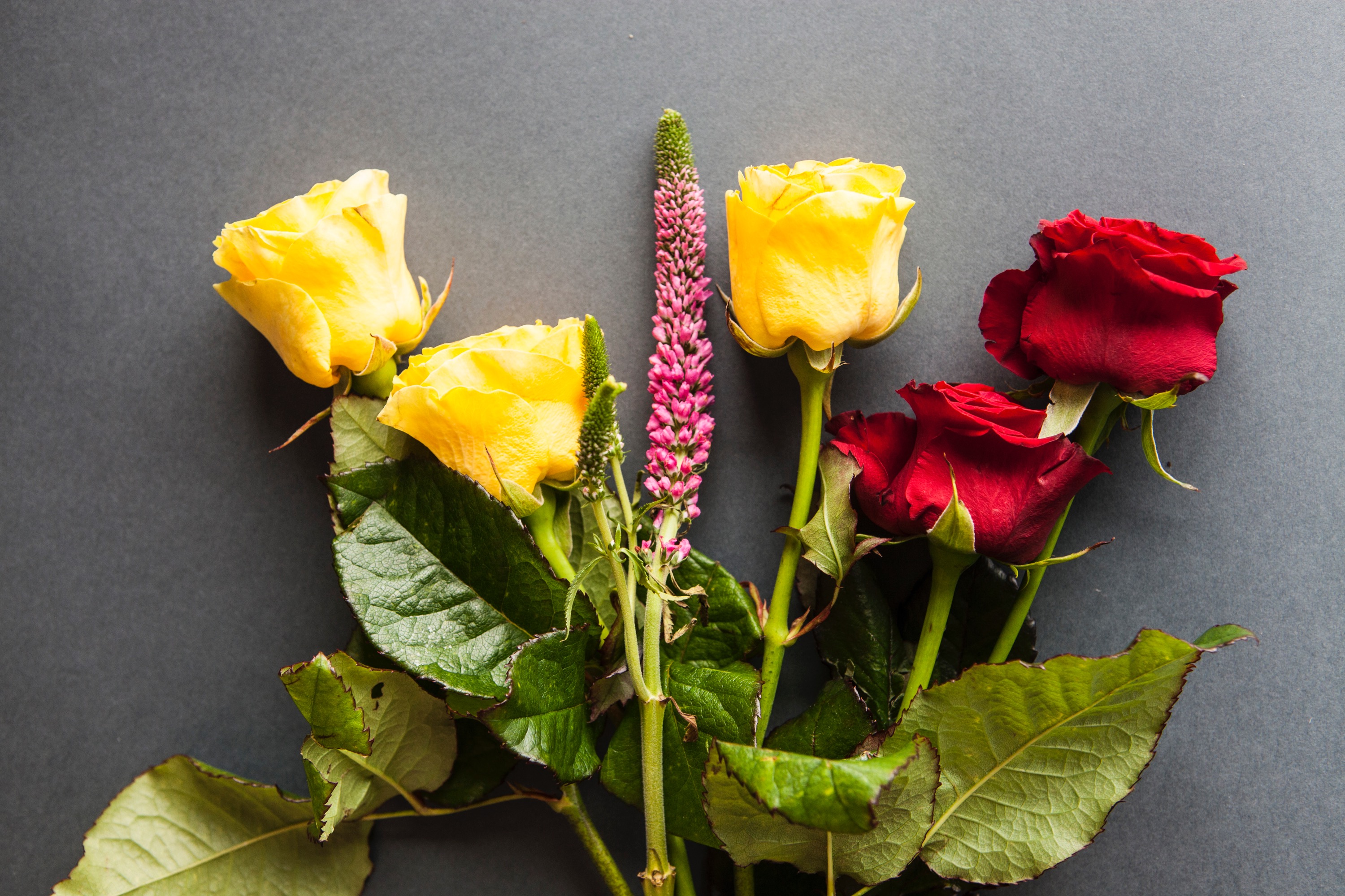 レカンフラワー花別乾燥方法 ８つの技法 方法 ブーケ 花束保存 レカンフラワー専門 名古屋 教室 販売 お花を保存しプレゼントに最適