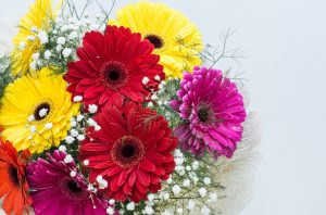 ガーベラアフターブーケ綺麗に残すアフターブーケ