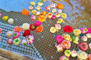 自分で花を残す方法バラ風呂